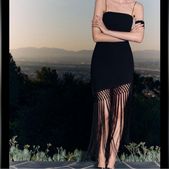 NWT ZARA VIRAL 2025 COLLECTION FRINGED DRESS SIZE M
🚨FIRM PRICE NO DISCOUNT - Picture 5 of 14